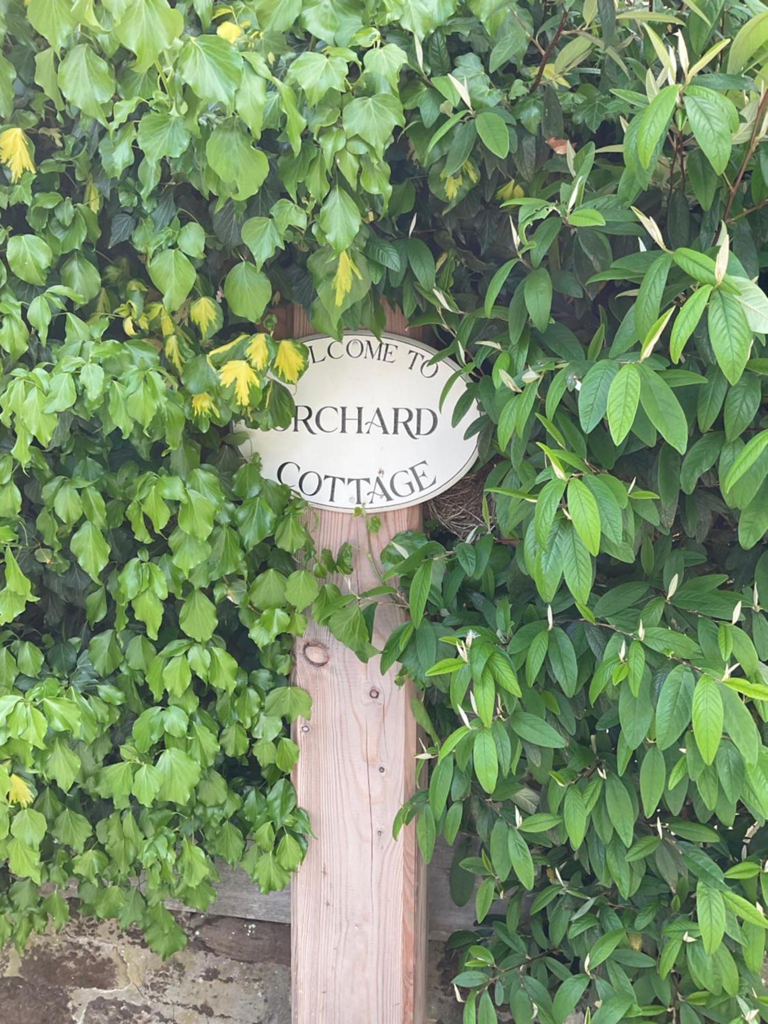 Orchard House Villa Rosedale Abbey ภายนอก รูปภาพ